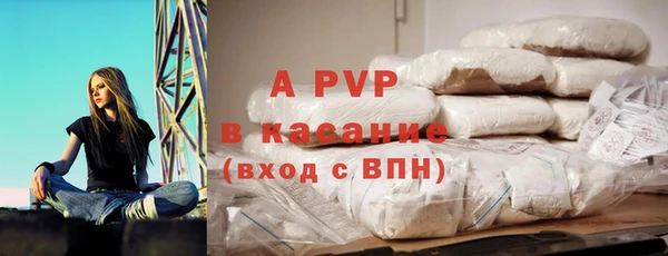 хмурый Абаза