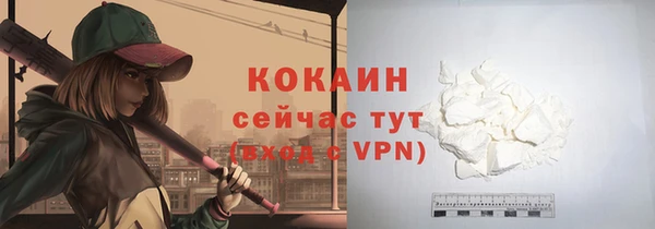 хмурый Абаза