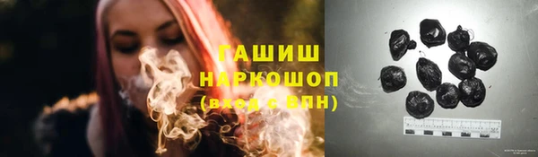 индика Няндома
