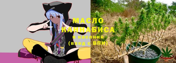 хмурый Абаза