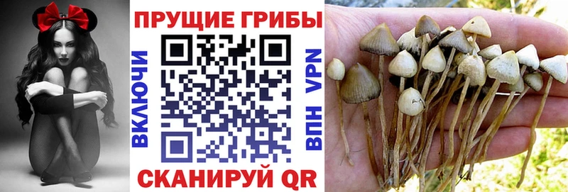 что такое наркотик  Шали  нарко площадка Telegram  Псилоцибиновые грибы MAGIC MUSHROOMS 
