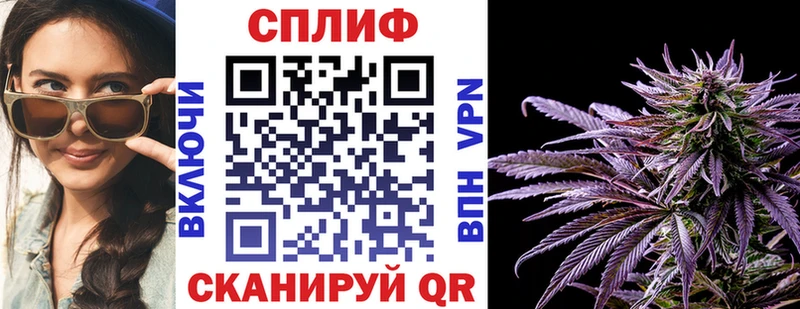 Каннабис планчик  blacksprut как зайти  Шали 