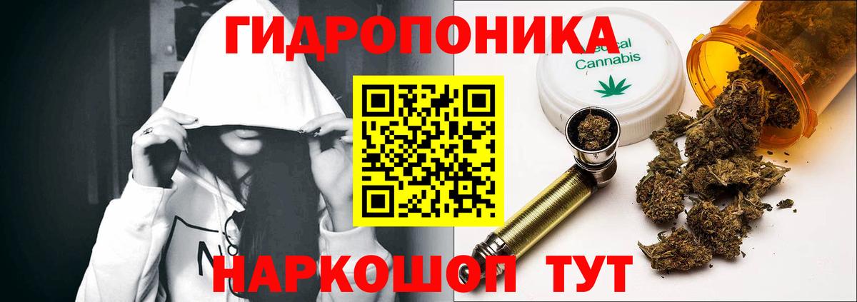МАРИХУАНА гибрид Шали